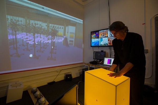 Basking in a New Holiday Glow, No  Evergreen Needed